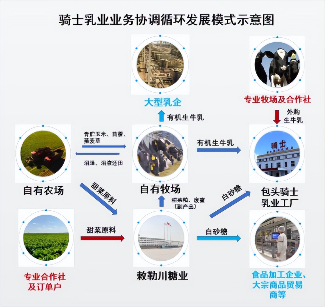骑士乳业 围绕奶牛养殖，构建农牧乳糖一体化乳业新范式