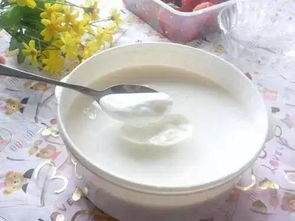 乳酸菌饮料与酸奶的区别 别再傻傻分不清楚