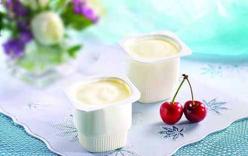 酸乳制品加工管道的清洗与消毒全流程指南